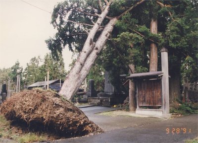 台風19号1.jpg