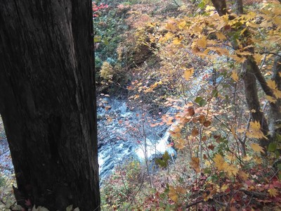 IMG_20181105_095326.jpg