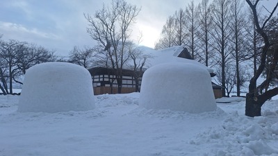 20250204_081554.jpg