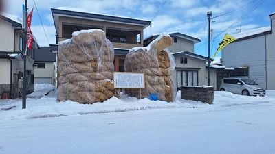 20250209_103451.jpg