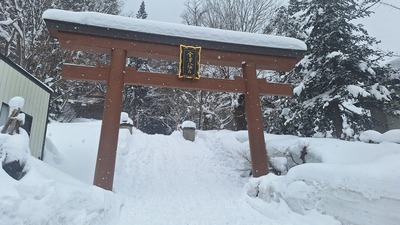 20250222_130111.jpg