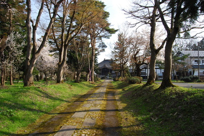DSC_0090.jpg