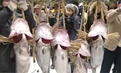 掛魚まつり(秋田県にかほ市) 1.jpg