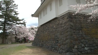 横手公園1.jpg