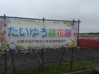 IMG_20180926_094853.jpg